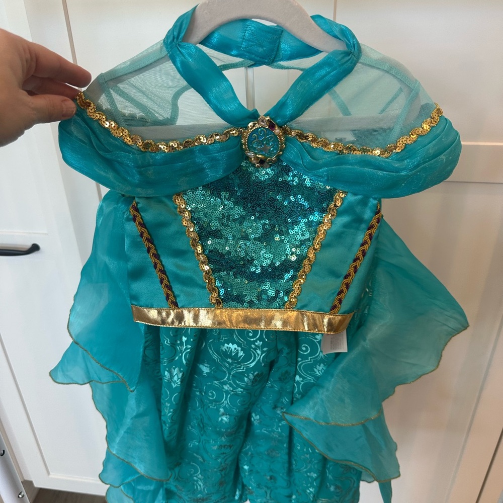 Disney Princess Jasmine outfit